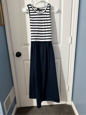 Ellen Tracy Navy striped dress
